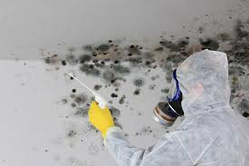 Best Mold Documentation for Insurance Claims  in West Orange, TX